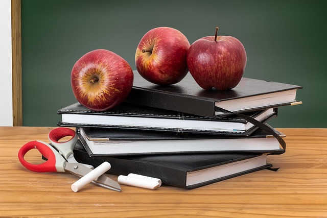 Collaborazione con istituti scolastici di Brescia a Bergamo